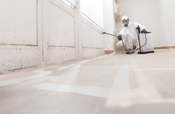 24/7 Emergency Commercial Mold Remediation experts in Arlington, MA