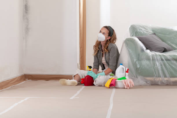 Reliable Commercial Mold Remediation contractor in Arlington, MA by WQB Mold Removal